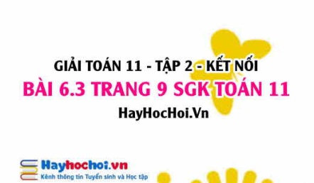 Bài 6.3 trang 9 Toán 11 tập 2 Kết nối tri thức